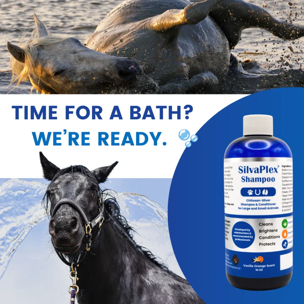SilvaPlexHorseShampoo.png 1024x1024