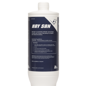 Hay San